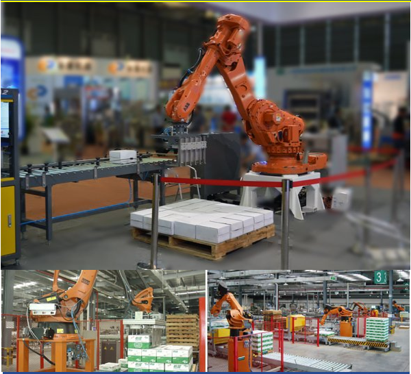 Automatic Packing Line from Russia Customer
