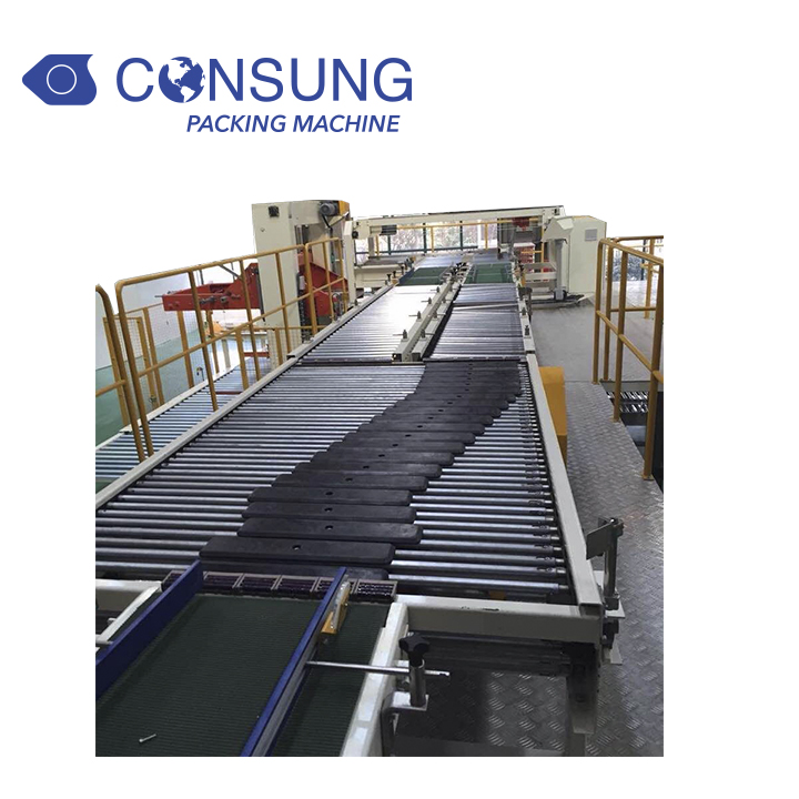 Case Conveyor Roller Conveyor