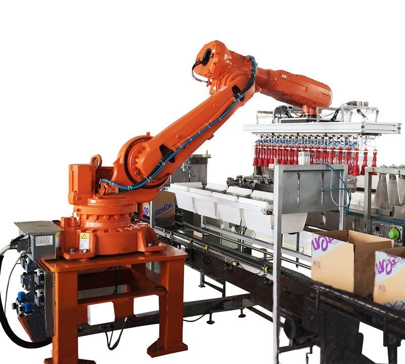 Automatic Robot Carton Packer for Bottle